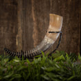 Indlæs billede i Gallery viewer, Drikkehorn-spiralen, der viser en poleret gradient af brune og hvide nuancer, vises elegant på et dekorativt metalstativ. Baggrunden har en rustik trætekstur med grønt løv synligt i bunden af billedet, der fremkalder scener fra vikingemarkeder.