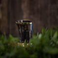 Indlæs billede i Gallery viewer, Drikkeglashornet (100 ml) er sat mod en sløret træbaggrund med grønt løv i forgrunden. Dette polerede drikkeglas fremviser en skinnende kant og et glat, buet design.