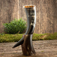 Indlæs billede i Gallery viewer, Et poleret Drikkehorn Yggdrasil U. Mønster står på en træoverflade med en lille grøn kulisse. Hornet har en naturlig buet form og holdes oprejst af et træstativ. Scenen, der minder om Yggdrasils rødder, fremkalder en rustik, historisk stemning svarende til, hvad du ville finde på et vikingemarked.