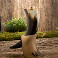 Indlæs billede i Gallery viewer, To Drikkehorn Valravn, den ene i beige og den anden i sort med hvide og brune striber, er elegant stablet på en rustik træoverflade. Bag dem er en frodig grøn plante, og baggrunden har et forvitret træpanel prydet med mosede pletter, der perfekt fanger en autentisk vikingemærket atmosfære.