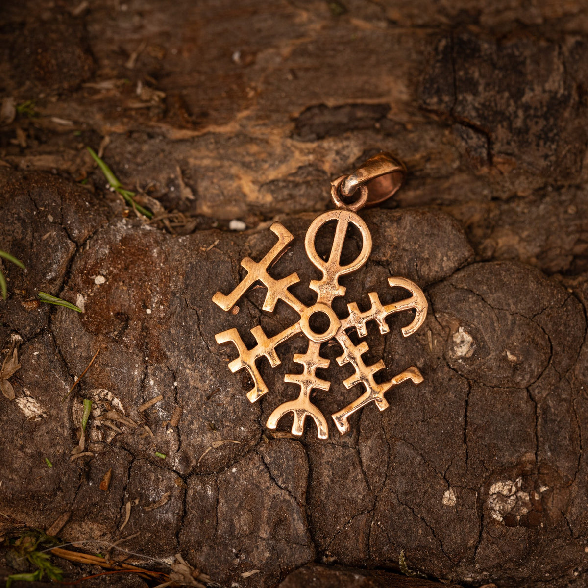 Vejviser Rund Amulet Vedhæng Bronze – billede 1